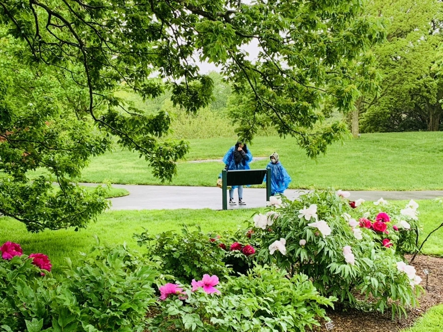 IMG_9999.jpg?type=w966