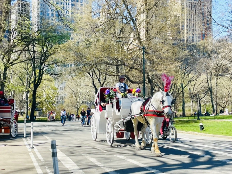 IMG_0644.jpg?type=w966