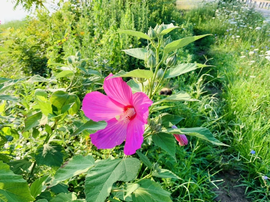 IMG_6540.jpg?type=w966