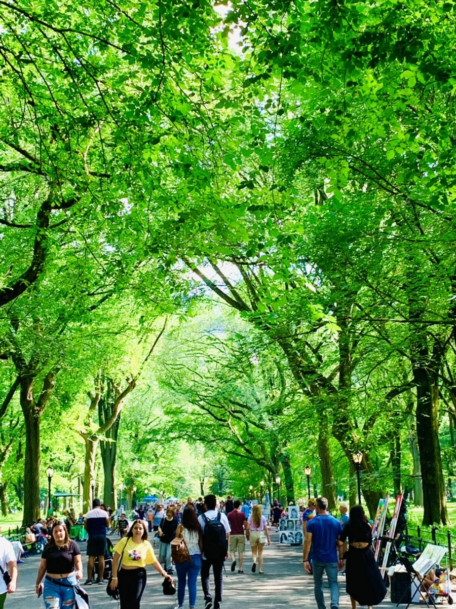 IMG_3532.jpg?type=w966