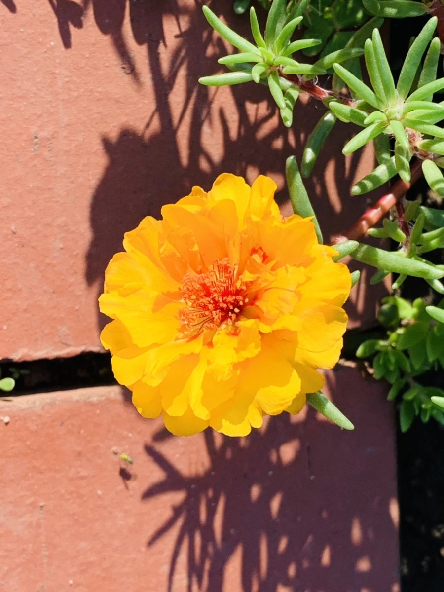 IMG_8403.jpg?type=w966