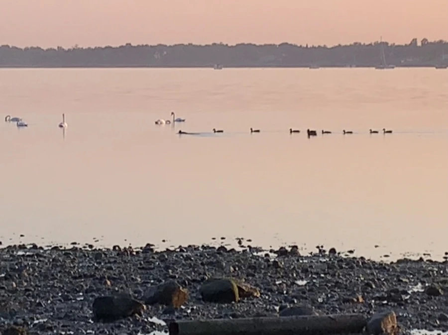 IMG_0209.jpg?type=w966