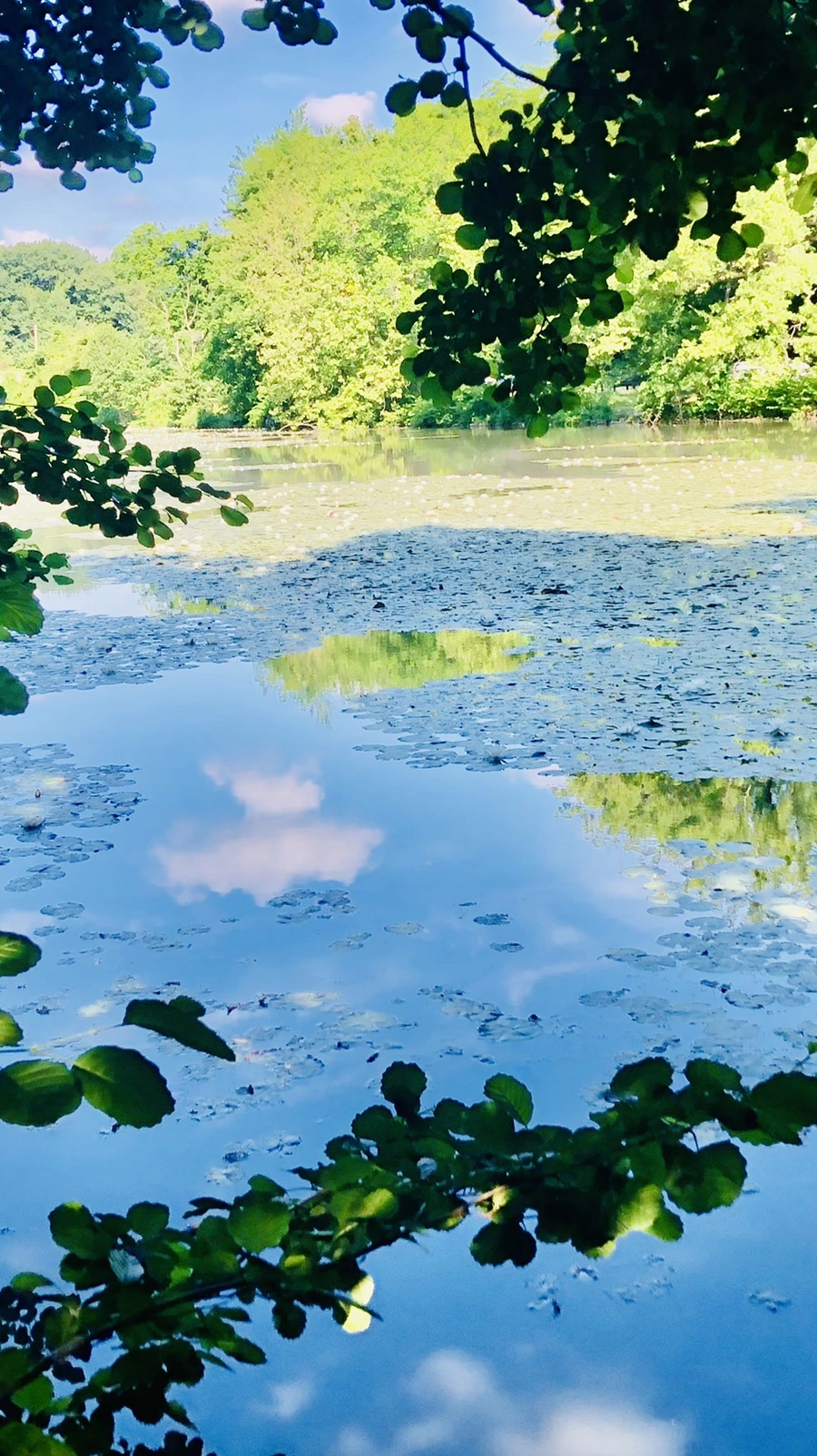 IMG_9845.jpg?type=w966