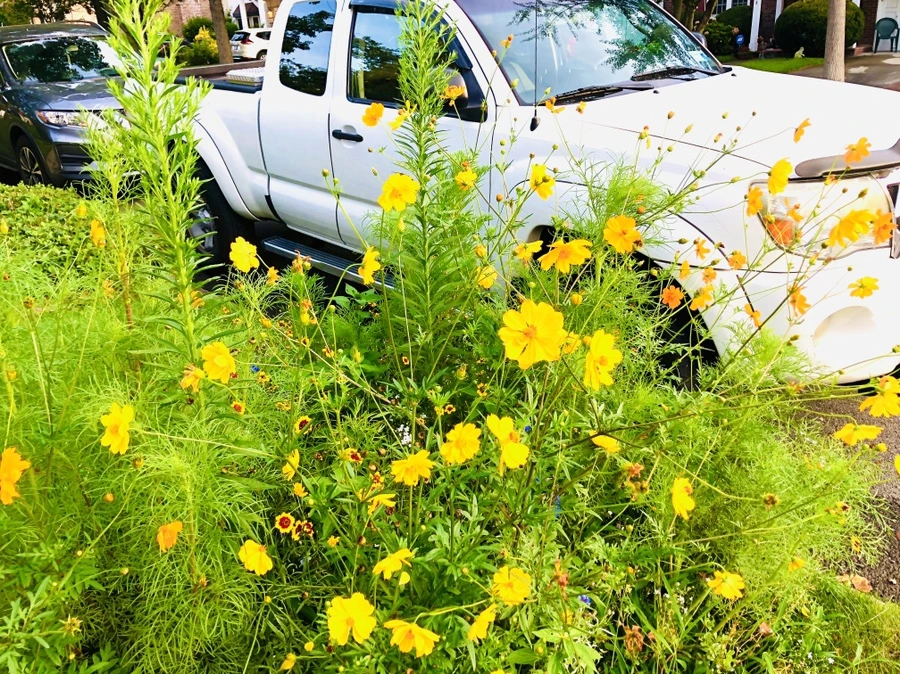 IMG_4586.jpg?type=w966