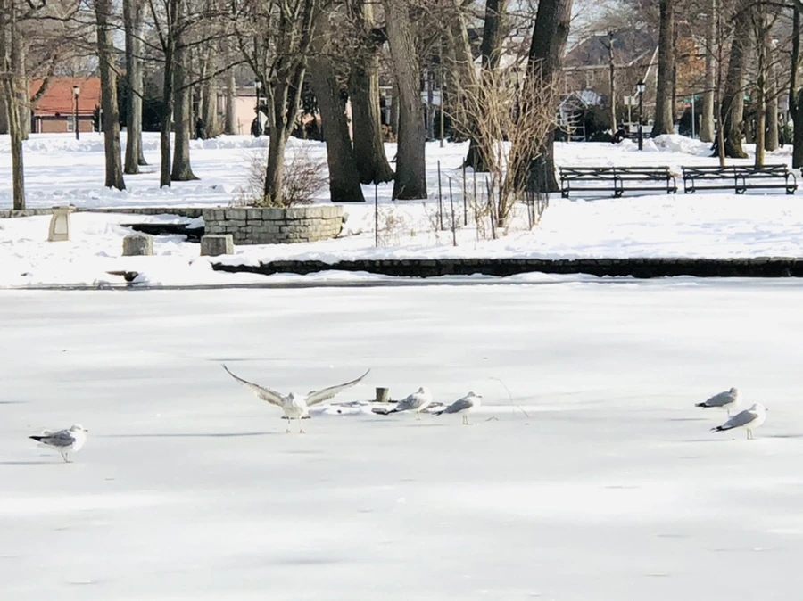 IMG_0146.jpg?type=w966