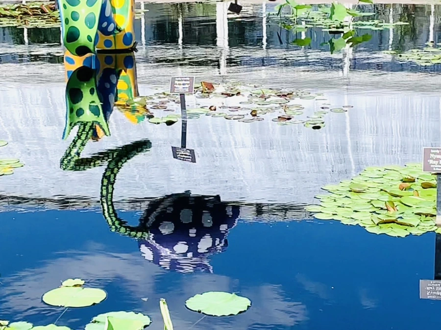 IMG_2129.jpg?type=w966