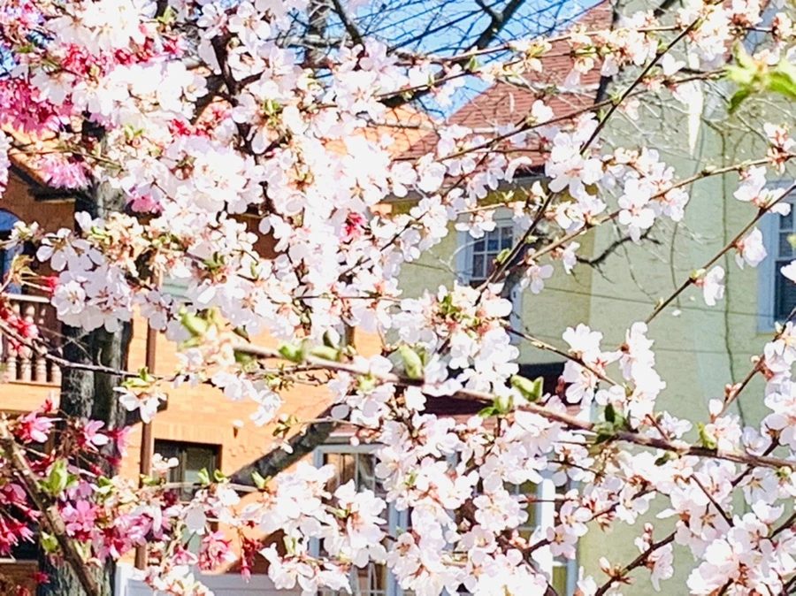 IMG_8079.jpg?type=w966