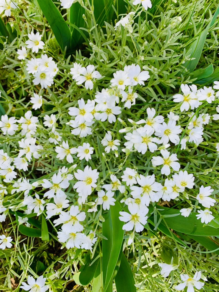 IMG_1080.jpg?type=w966