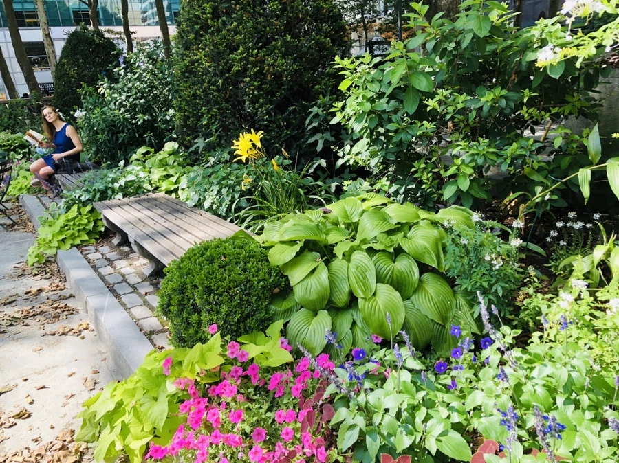 IMG_1311.jpg?type=w966