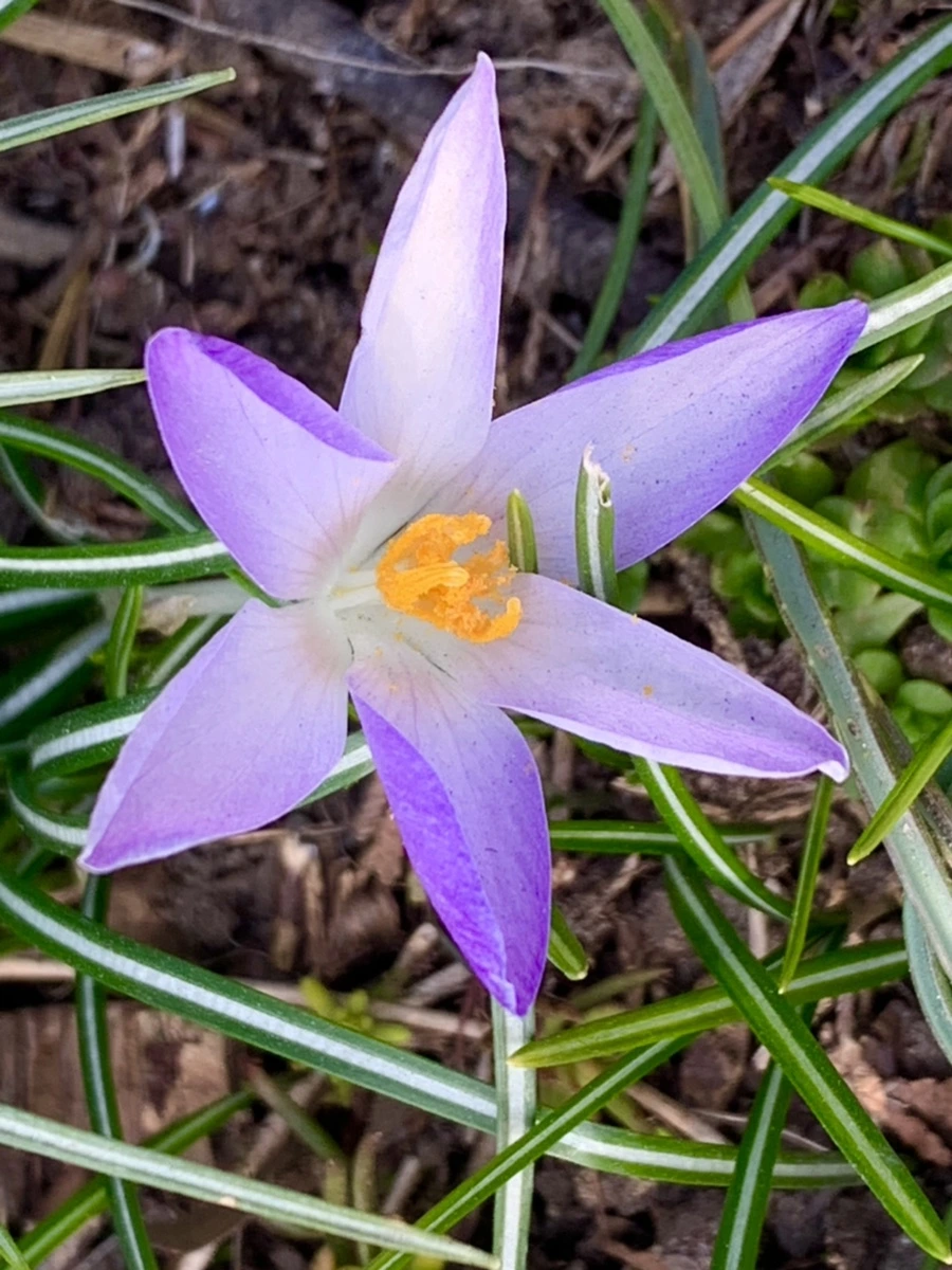 IMG_0276.jpg?type=w966