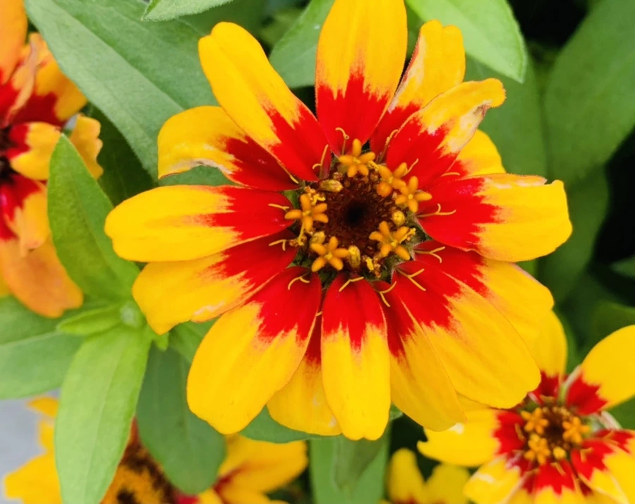 IMG_0650.jpg?type=w966