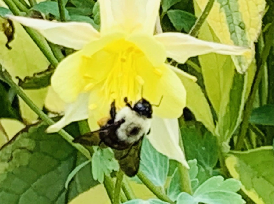 IMG_2903.jpg?type=w966