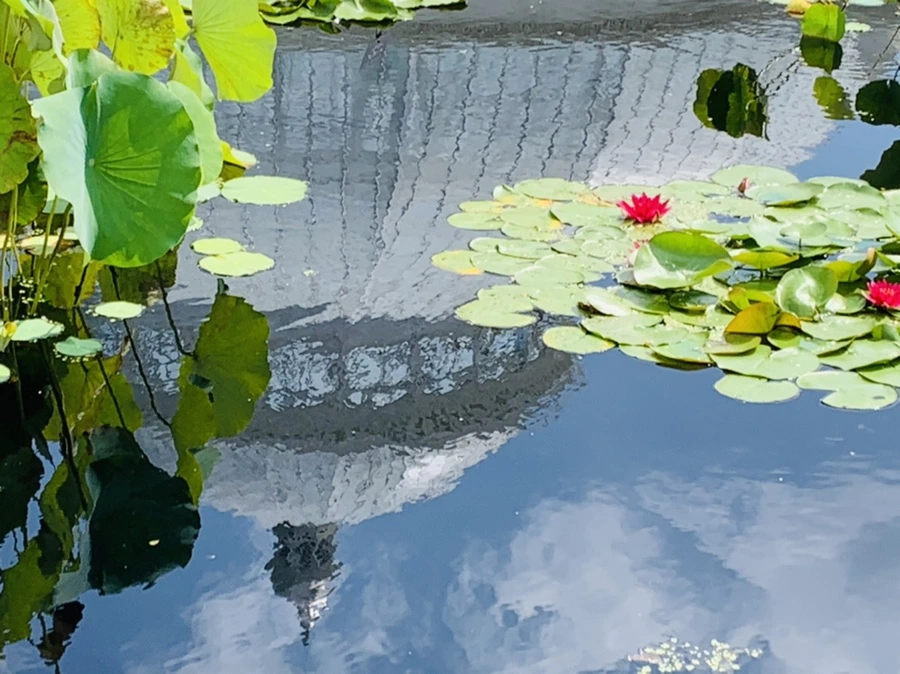 IMG_9054.jpg?type=w966