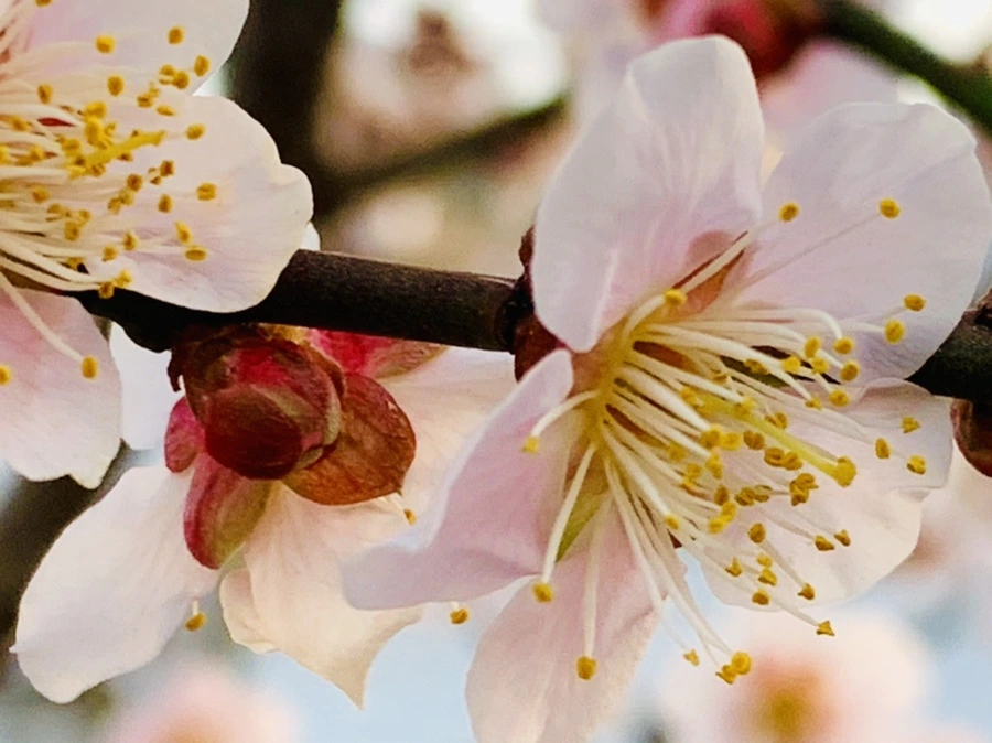 IMG_2805.jpg?type=w966