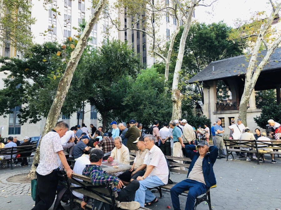 IMG_0585.jpg?type=w966