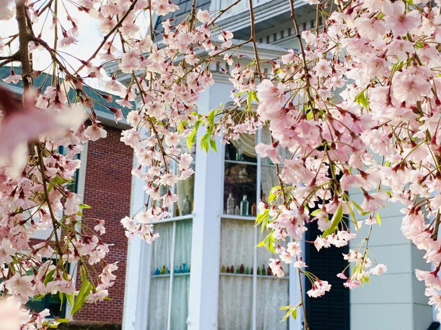 IMG_3691.jpg?type=w966