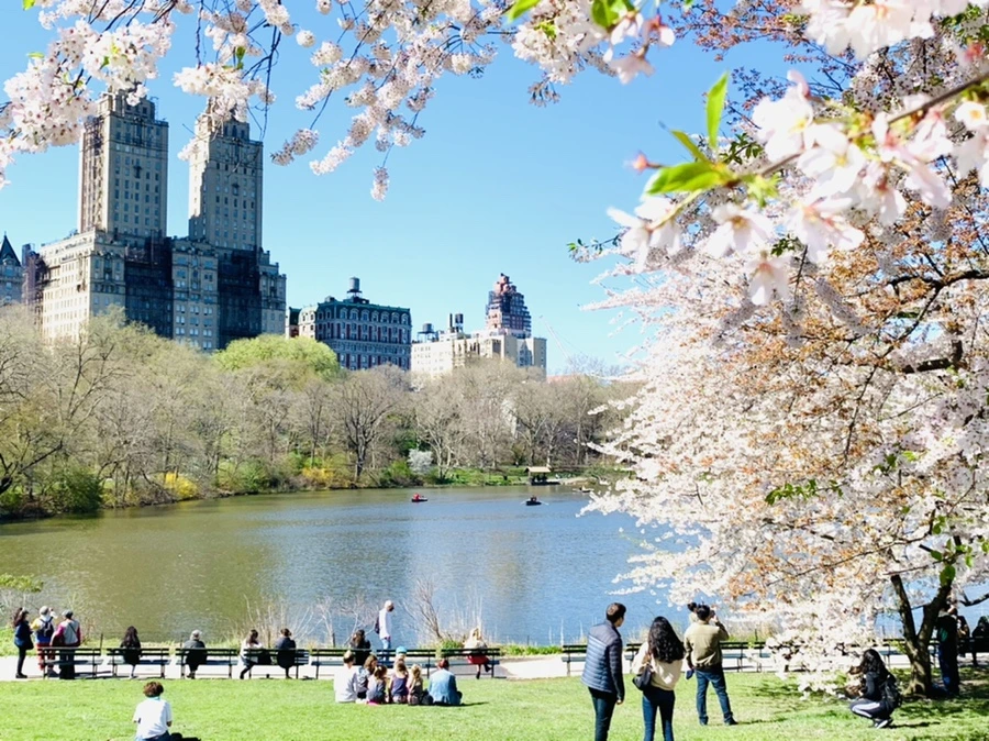 IMG_1876.jpg?type=w966