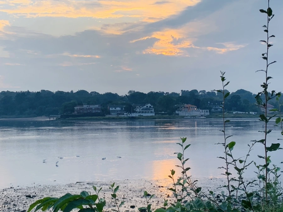 IMG_8190.jpg?type=w966