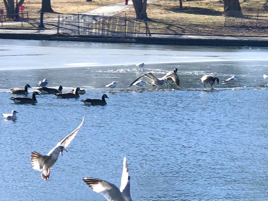 IMG_6665.jpg?type=w966