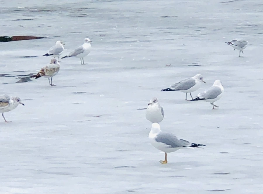 IMG_6344.jpg?type=w966