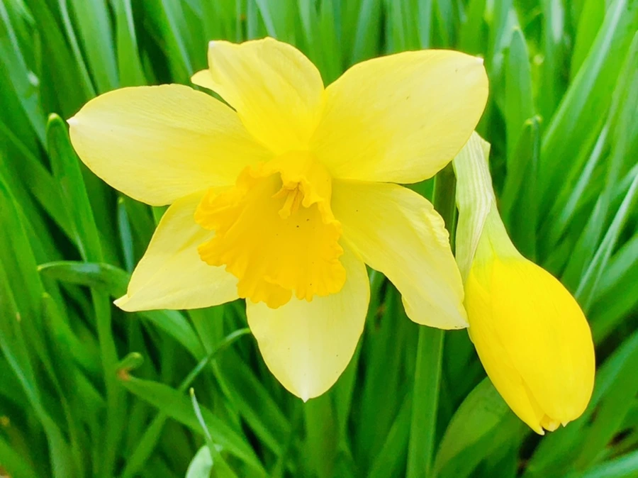 IMG_5895.jpg?type=w966