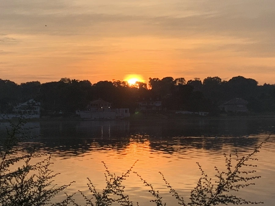 IMG_6836.jpg?type=w966