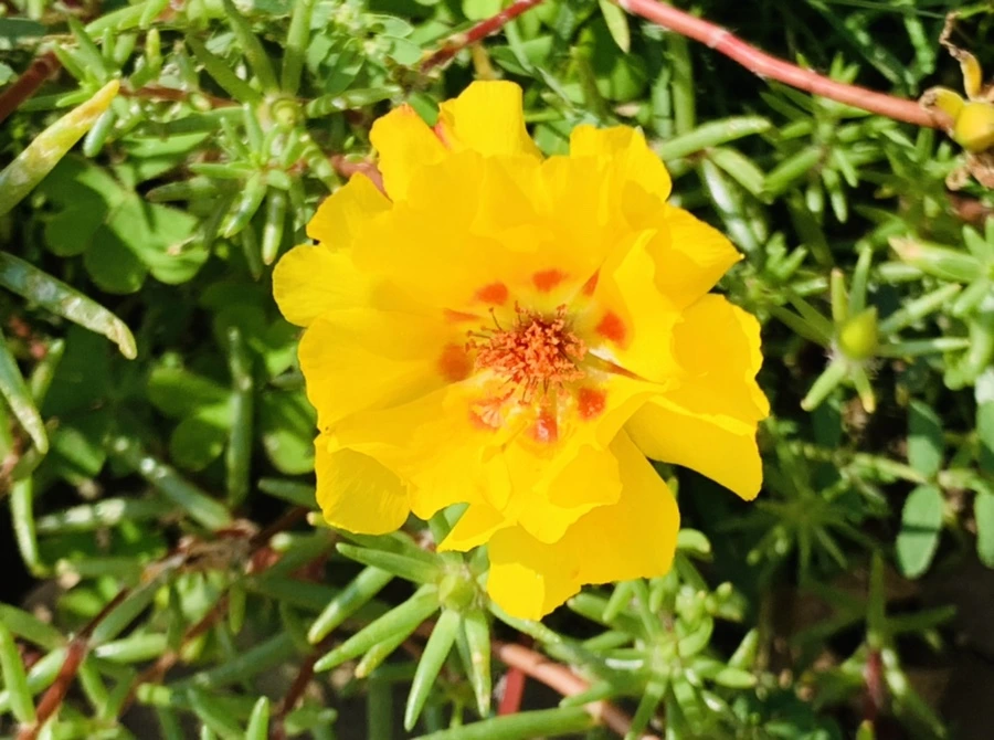 IMG_6705.jpg?type=w966