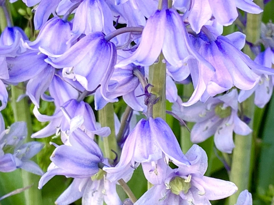 IMG_3248.jpg?type=w966