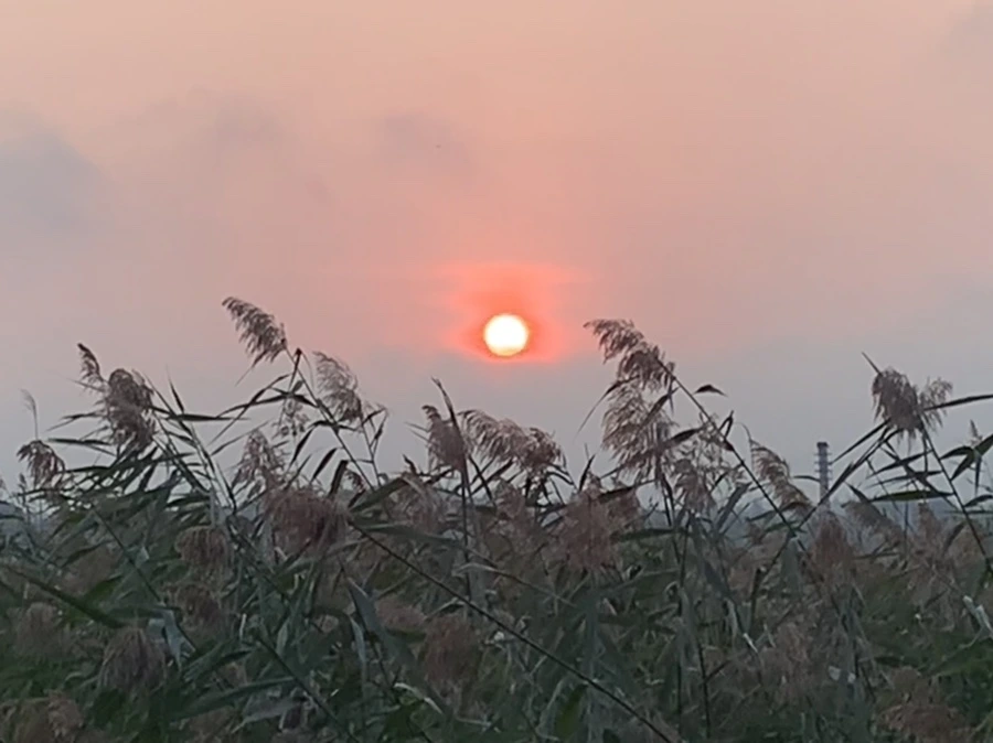 IMG_1101.jpg?type=w966