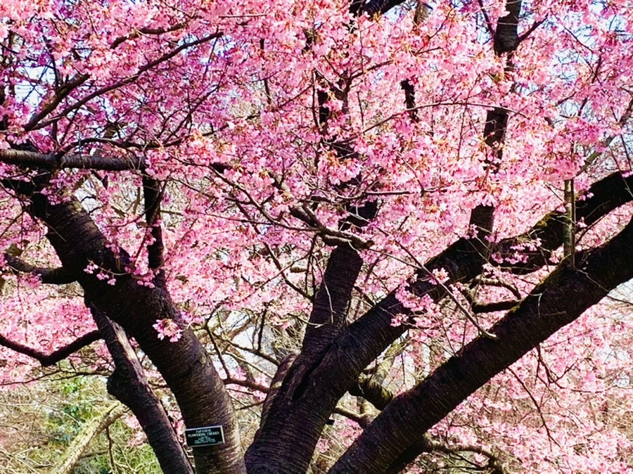 IMG_7336.jpg?type=w966