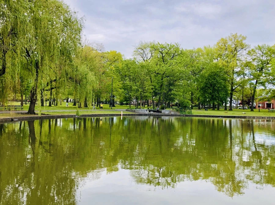 IMG_7306.jpg?type=w966