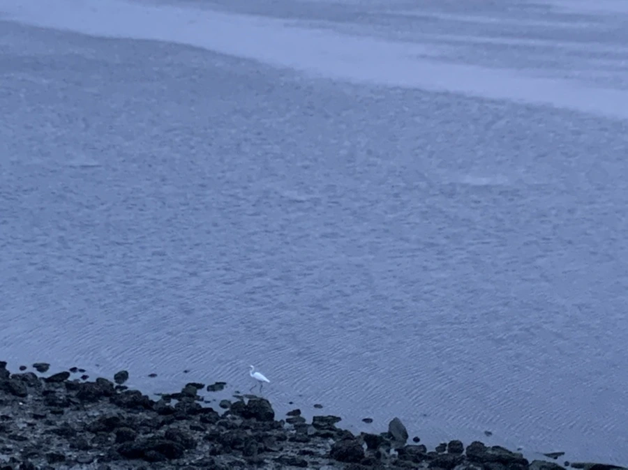 IMG_0685.jpg?type=w966