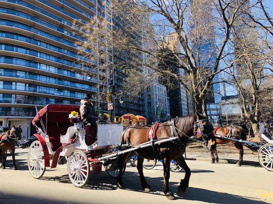 IMG_1188.jpg?type=w966