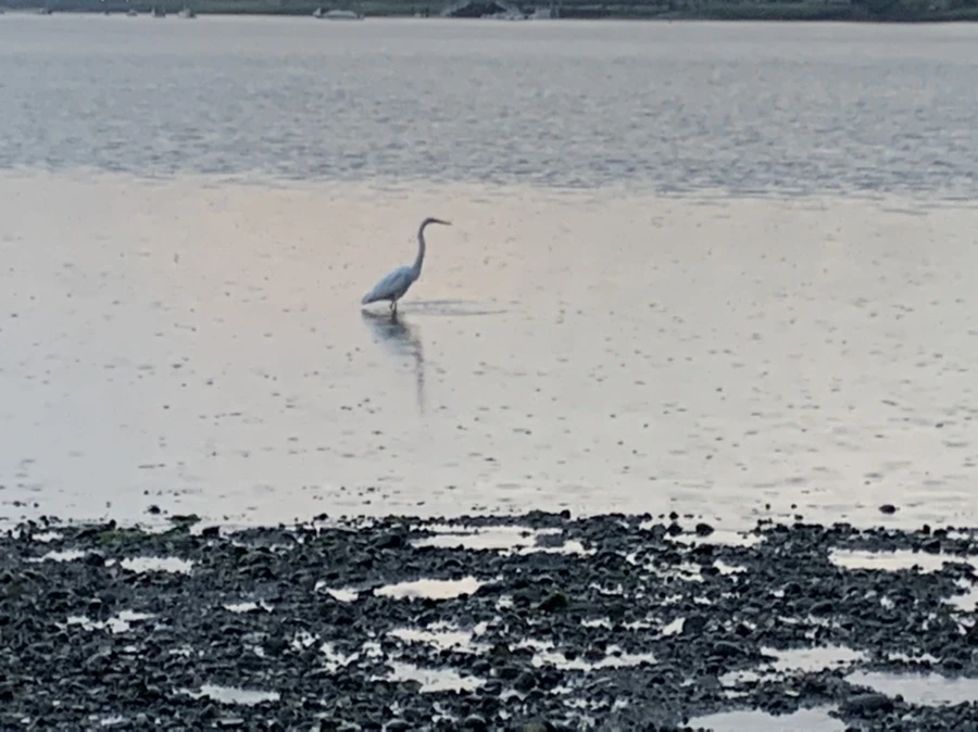 IMG_8125.jpg?type=w966