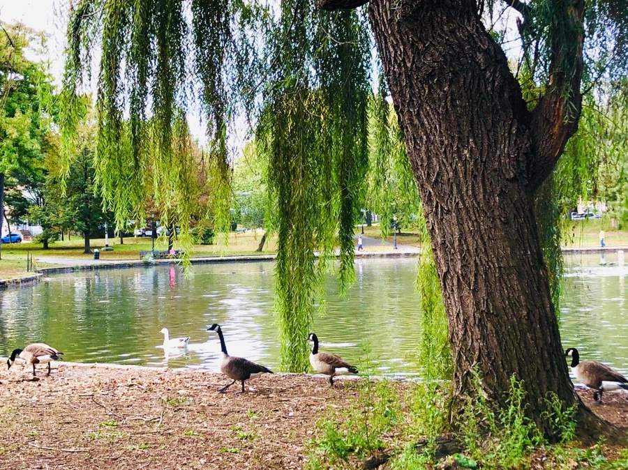 IMG_2153.jpg?type=w966