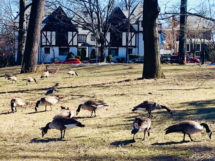 IMG_6625.jpg?type=w966