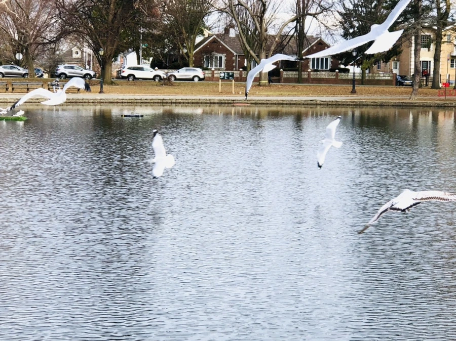 IMG_9959.jpg?type=w966