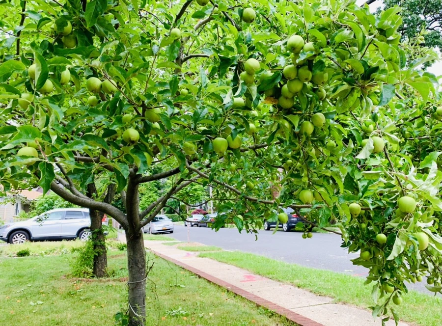 IMG_0681.jpg?type=w966