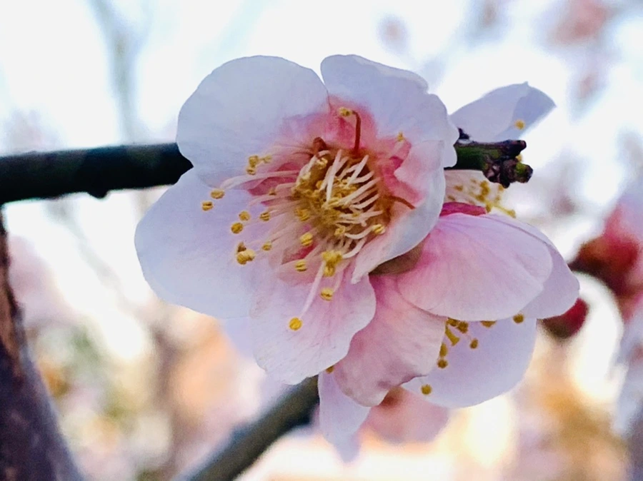 IMG_2301.jpg?type=w966