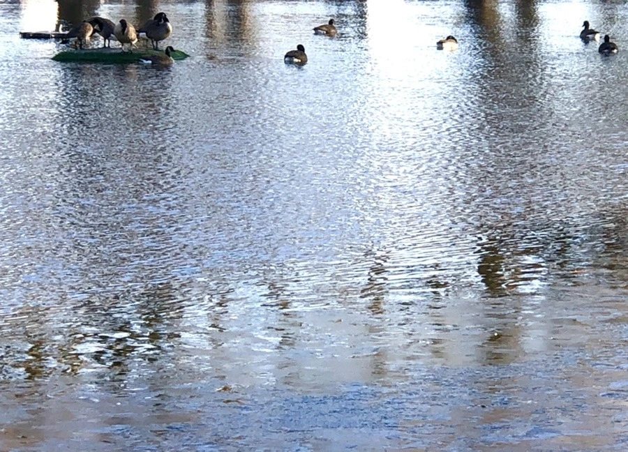 S-oKBho3AiBTvSpoqWU1Nhfr-DA