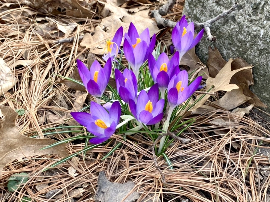 IMG_1254.jpg?type=w966