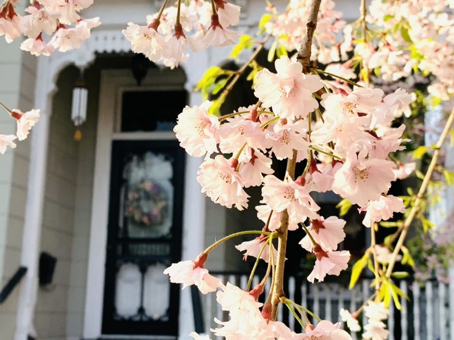 IMG_3668.jpg?type=w966