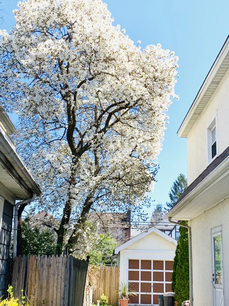 IMG_7655.jpg?type=w966