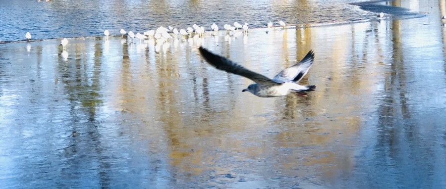 IMG_1189.jpg?type=w966