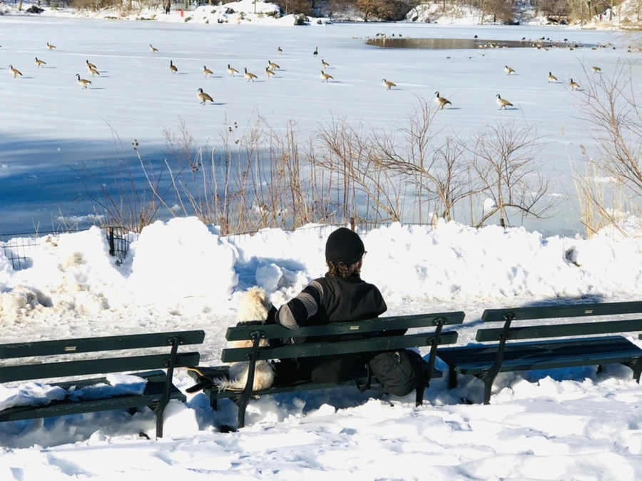 IMG_9884.jpg?type=w966