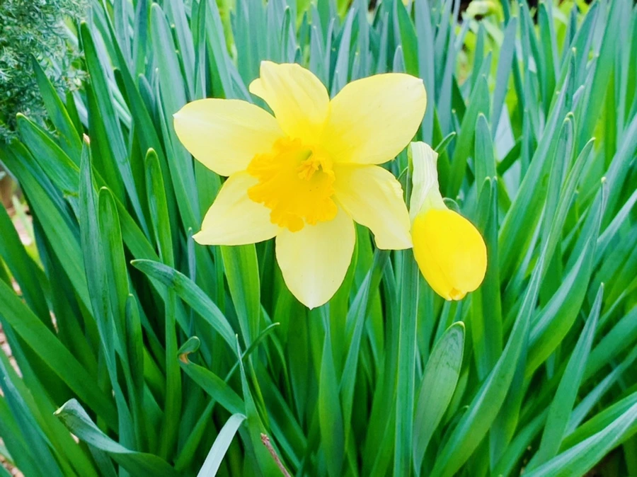 IMG_5892.jpg?type=w966