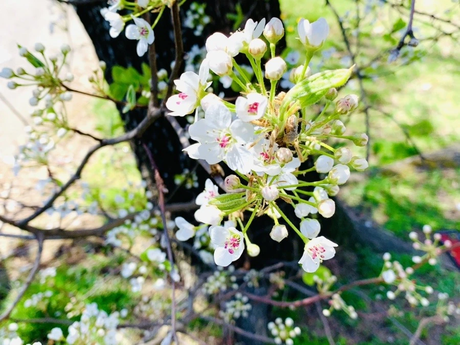 TG_9UDuPIErxwC2y6bFLvacoMqA