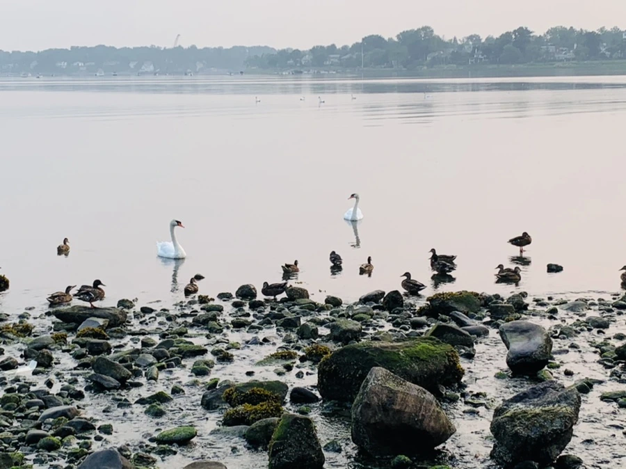 IMG_8402.jpg?type=w966