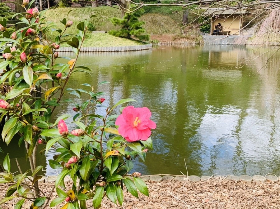 BOqqz4eJ8PwOO37tmztVhYgsq_w