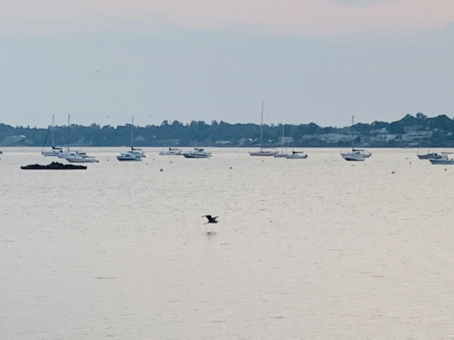 IMG_2351.jpg?type=w966